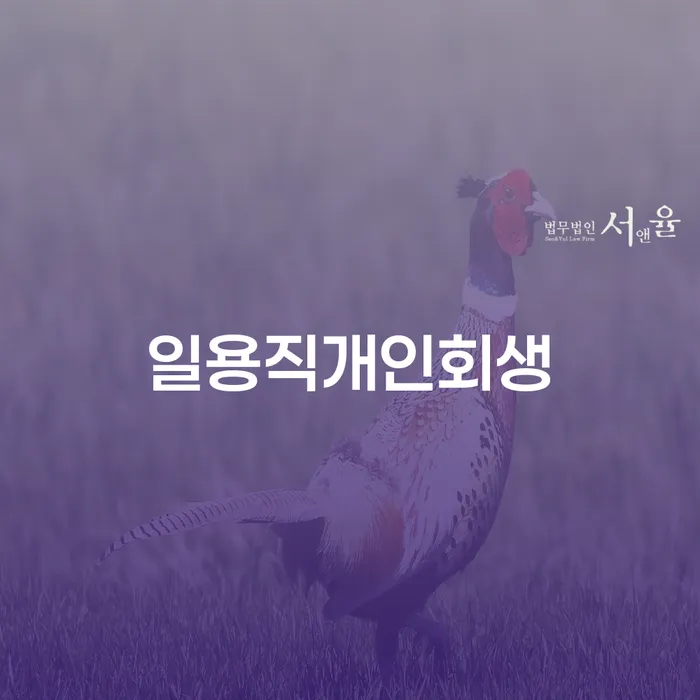 개인회생변호사 개인회생으로 현명하게 최신정보