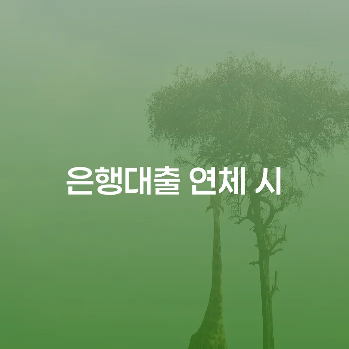 빚 빚 합법적인 빠른방법 추전하는 사무소