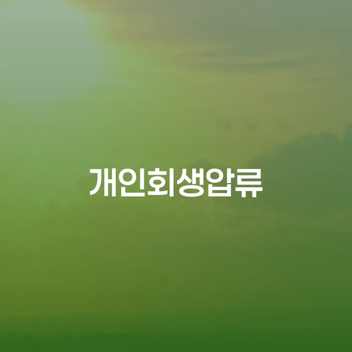 법원개인회생 개인회생 처리방법 위험감소