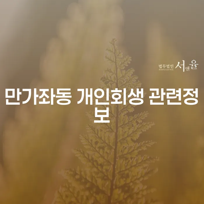 만가좌동 개인회생 관련정보