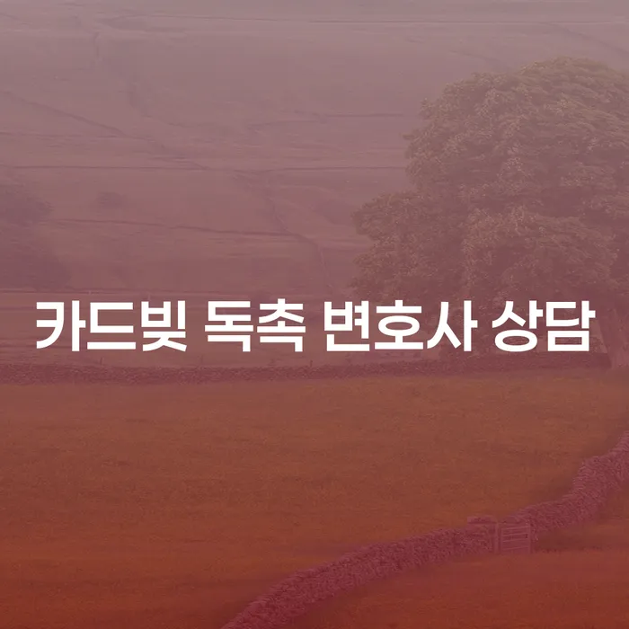 카드빚 독촉, 어떻게 대처해야 할까요?