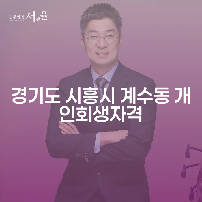 경기도 시흥시 계수동에서 개인회생을 고려하시나요? 자격과 채권회수비법을 알아보세요!