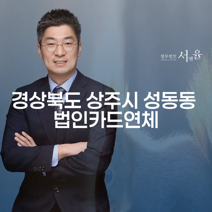 경상북도 상주시 성동동 법인카드연체 해결 방법은 무엇일까요?