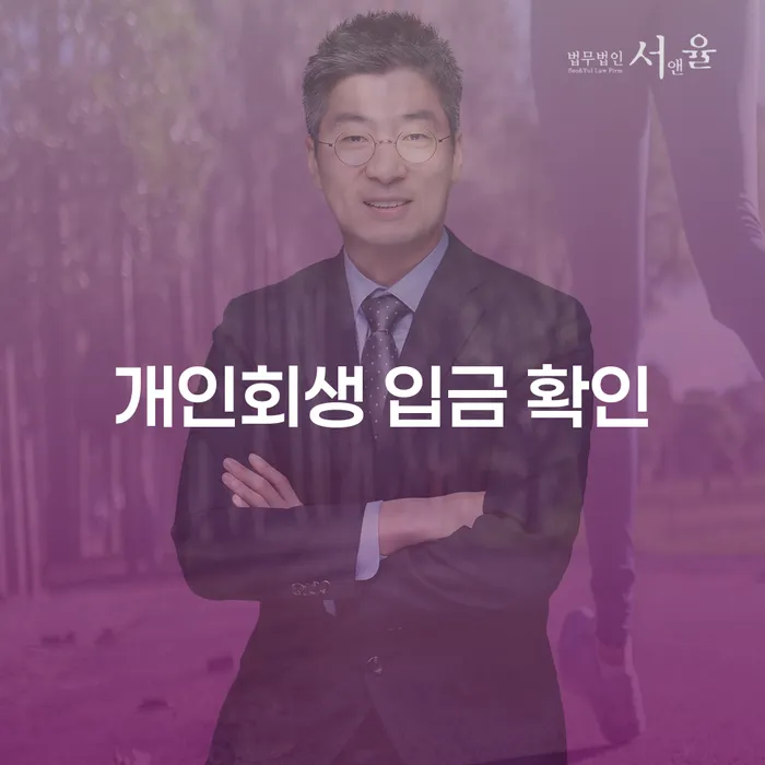 개인회생 입금 확인과 대출 8억원 개인회생, 어떻게 해결할 수 있을까요?